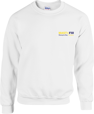 Crew Neck Sweatshirt in White