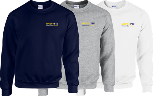 Crew Neck Sweatshirt in White